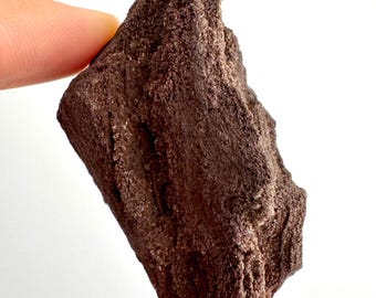 Permineralized Wood Covered In Druzy Quartz (2.82") from Eocene, Germany