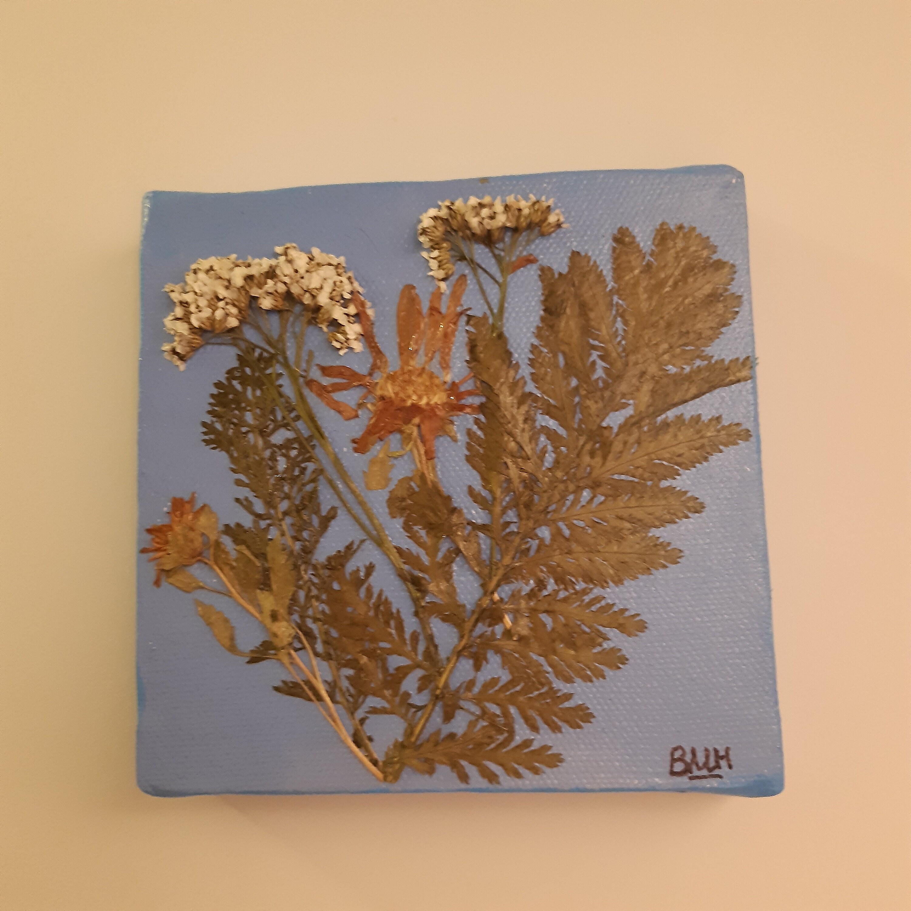 Décoration Murale Fleurs et Feuilles Séchées