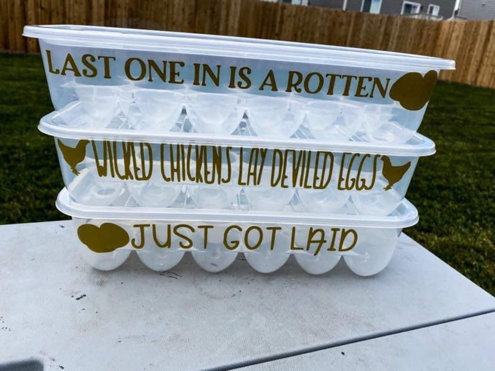 Funny Saying Reusable Egg Cartons Etsy