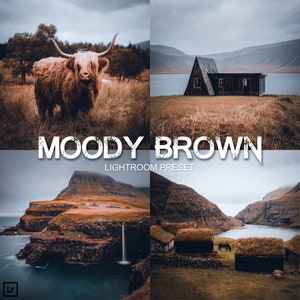 Może przedstawiać: Wtyczka Lightroom w odcieniach brązu, nadająca zdjęciom melancholijny charakter. Preset został zastosowany do czterech różnych obrazów: krowy szkockiej na pastwisku, małego domu na wzgórzu, wodospadu w górzystym krajobrazie oraz trawiastego pola z małym domem w oddali.