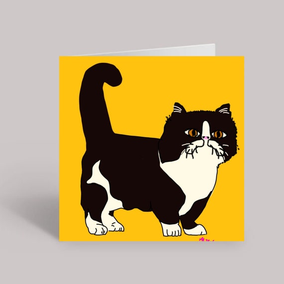 Munchkin cat card black and white kitten blank card Etsy