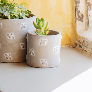 May include: Two grey concrete plant pots with a bee pattern. One pot contains a green and white leafy plant, and the other holds a small succulent. The pots are on a grey surface against a yellow wall.
