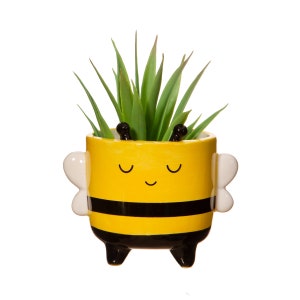 CUTE BEE PLANTER Yellow and black with legs, the perfect small plant pot by Sass & Belle