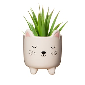 May include: A white ceramic cat-shaped plant pot with a green plant. The pot features a cat face design with closed eyes, whiskers, and pink inner ears. The plant has long, green leaves.
