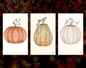 Acuarela de calabaza, paquete de 3 (4 x 6 impresiones)