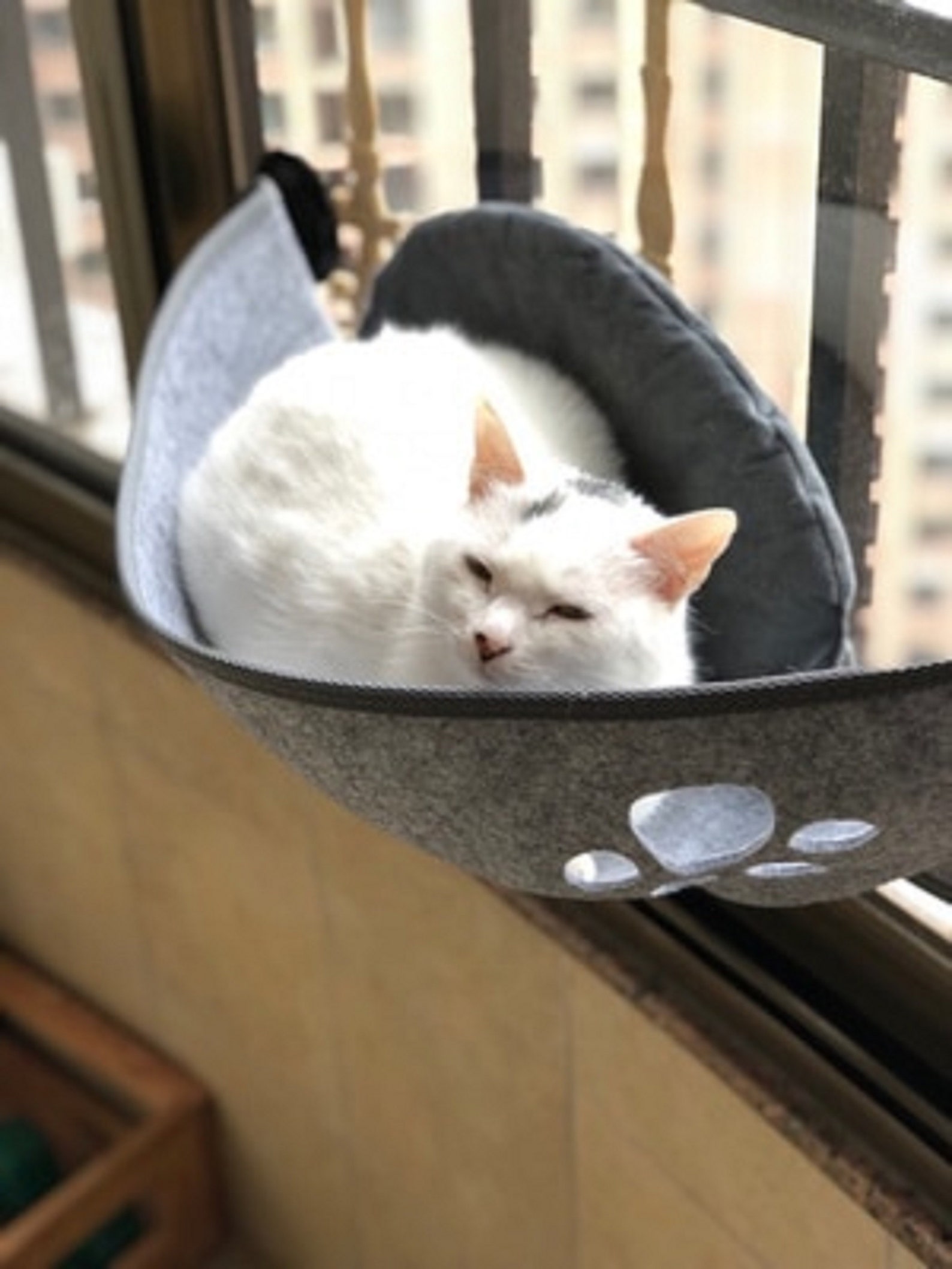 window-attached-floating-cat-bed-wall-mounted-cat-window-etsy