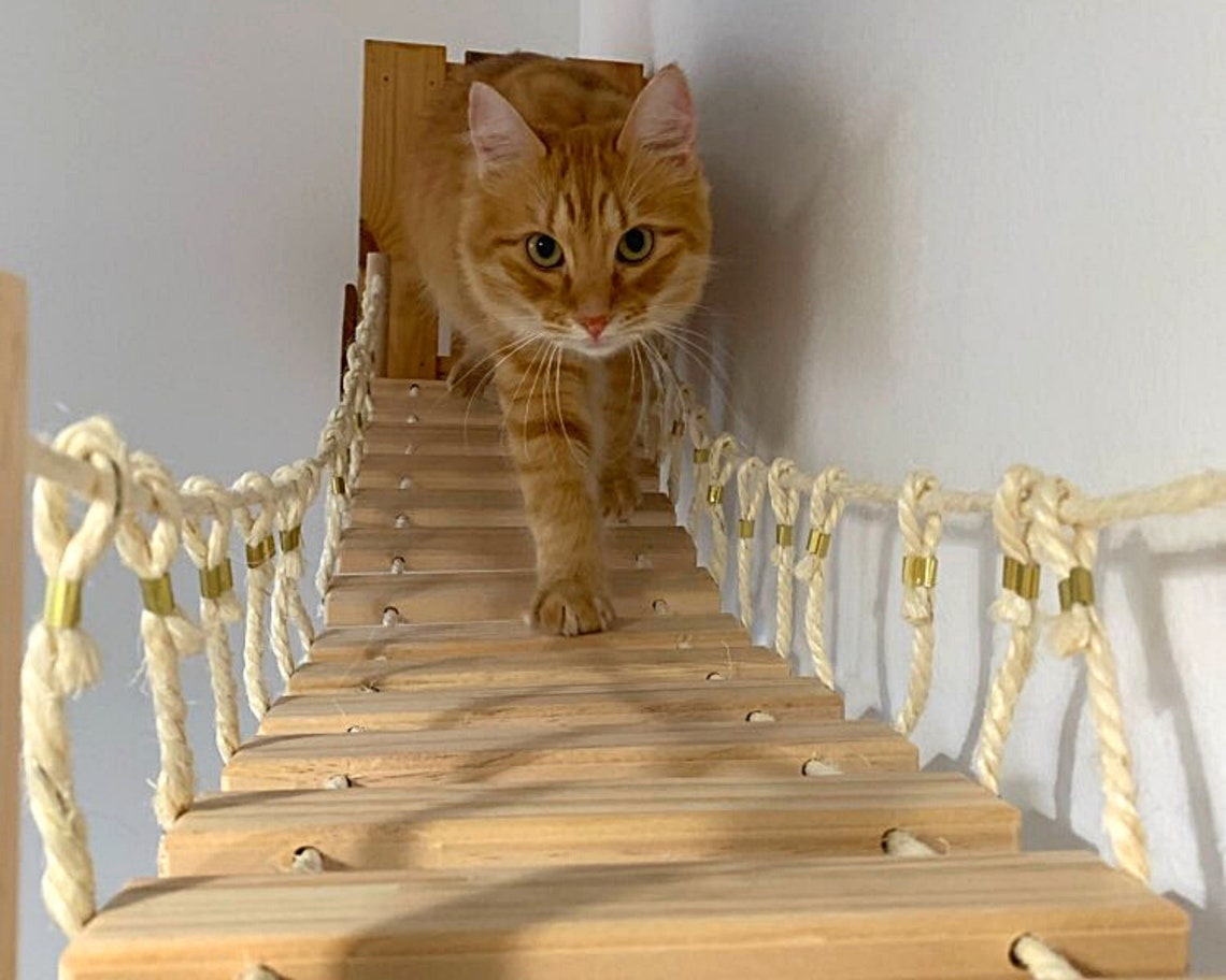 Wooden Cat Bridge Roped Cat wall shelves and bridge Cat Etsy