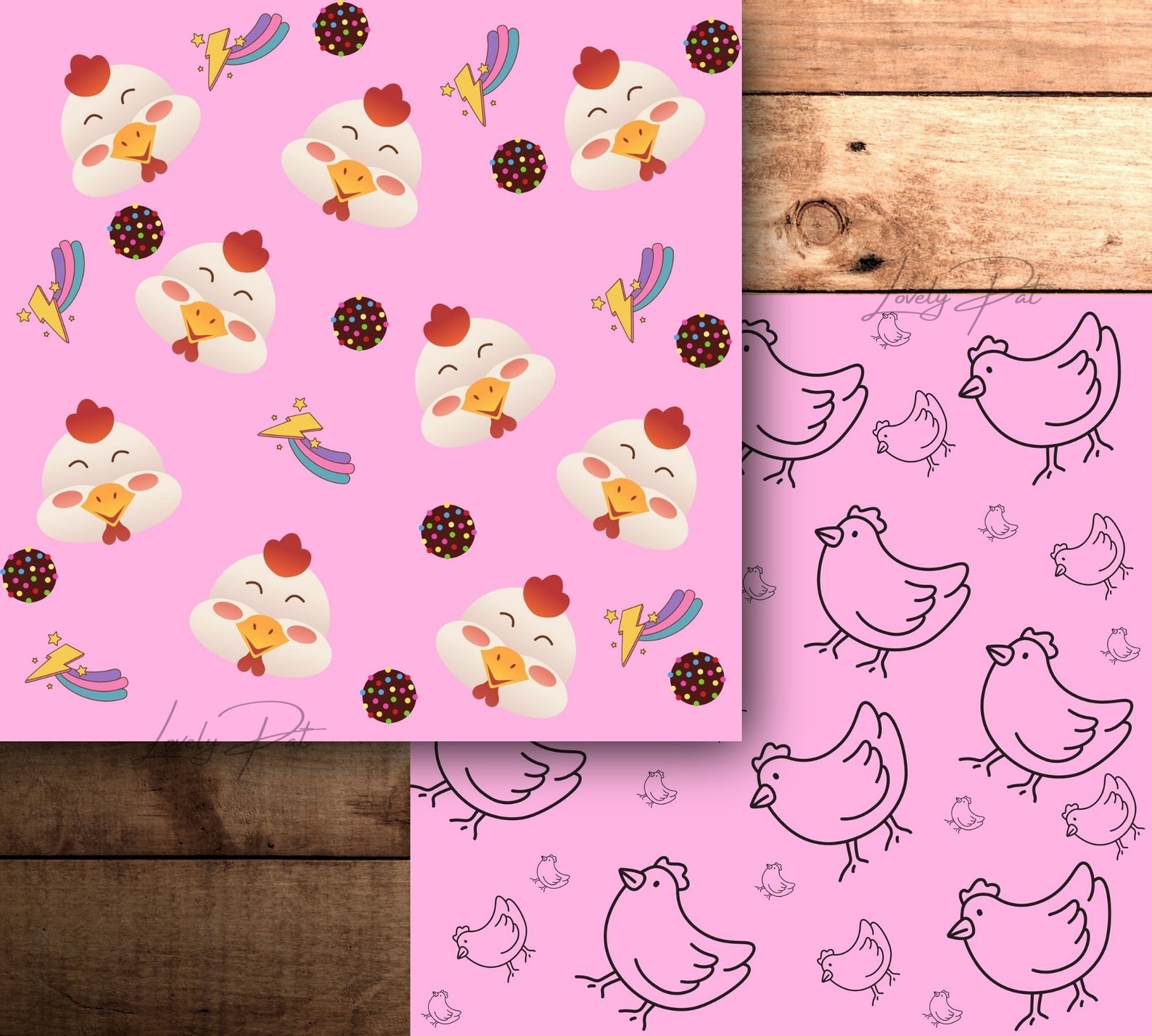 Chicky essay 07 image