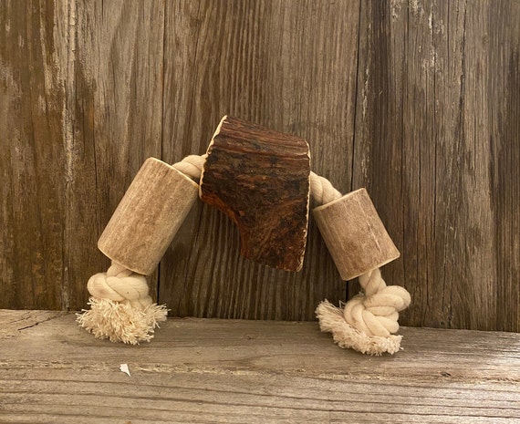 animal arcyellow rubber bear rope squeeker dog toy Team Spirit Stuffed SQUEAKY Dog Toys: Sport Mascots & Players of All S