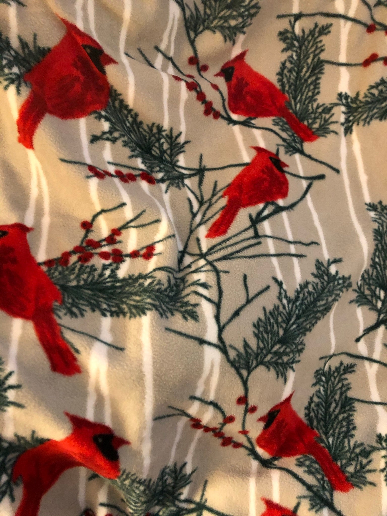 RED CARDINAL FLEECE Blanket with Elegant Crocheted Edging Etsy