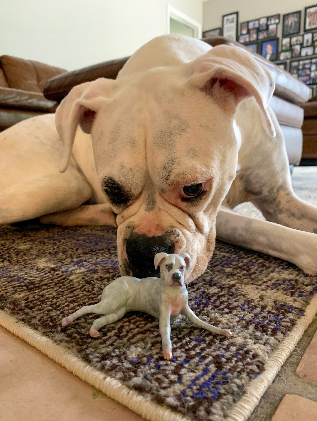 3D Print Your Pet! Etsy