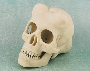 3D Printed Twilek Skull | Star Wars Collectible, Sci-Fi Decor