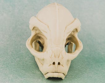 3D Printed Kaminoan Skull | Star Wars Collectible, Sci-Fi Decor