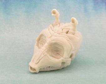 3D Printed Star Wars Rodian Skull | 4" Sci-Fi Monster Skull | | Greedo Skull Replica | Unique Gift for Star Wars Fans & Collectors