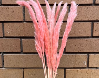 Roze gedroogd pampasgras