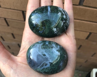 Piedra de palma de ágata musgosa drusa: piedra pulida de nuevos comienzos
