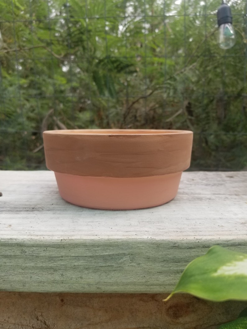 Handpainted Terracotta Pot