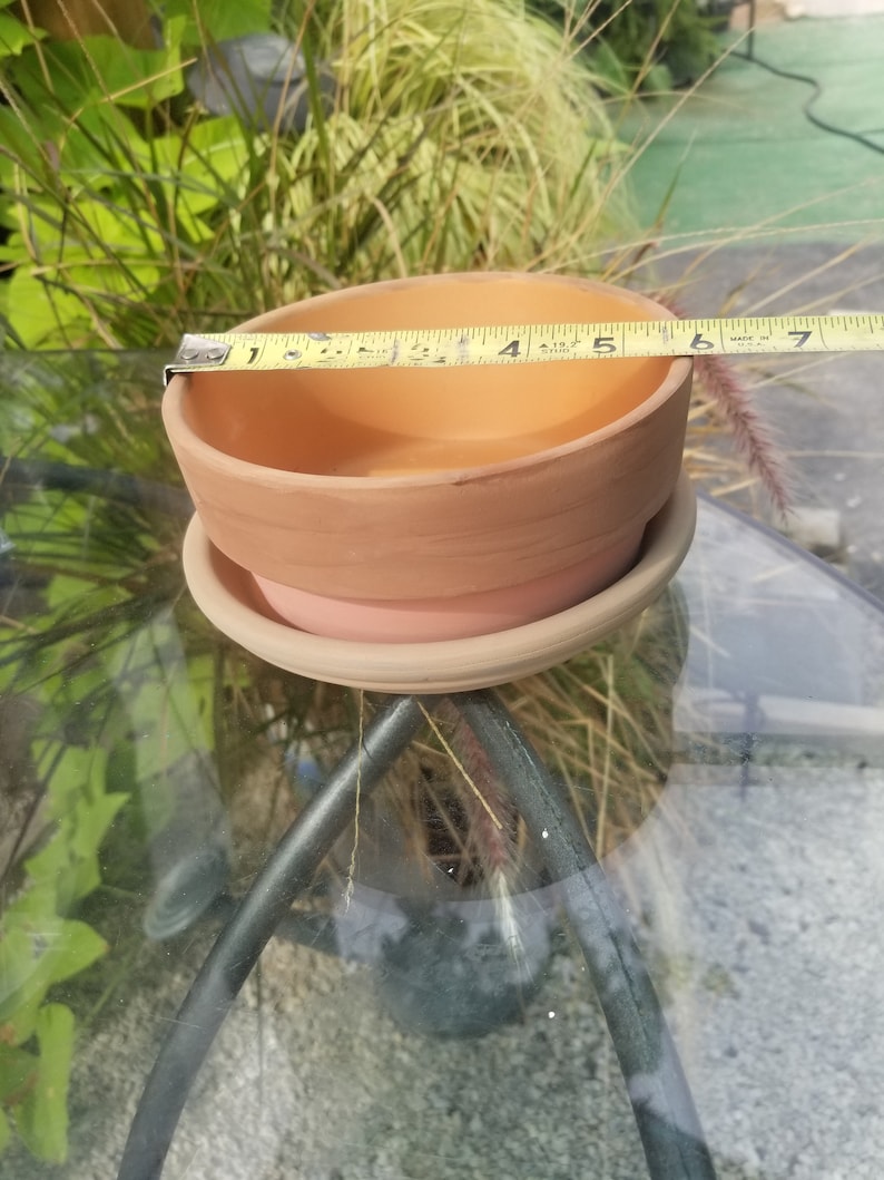 Handpainted Terracotta Pot
