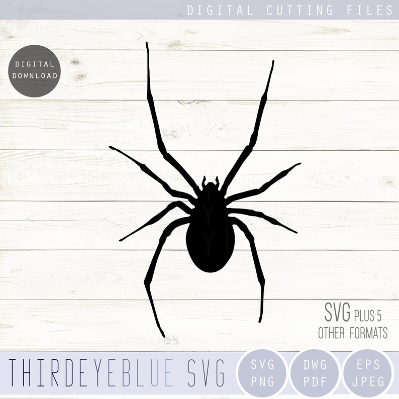May include: Black silhouette of a spider with eight legs. The spider is facing forward with its legs spread out. The spider is on a white wooden background.