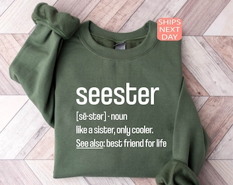 Sudadera con el sustantivo Seester, camiseta con la definición de Seester, regalo para hermana, el mejor regalo para hermana, sudadera divertida, regalo para hermana, sudadera para hermano