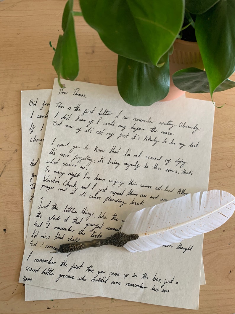 La Lettre De Newt En Francais La Lettre De Newt En Francais - Communauté MCMS