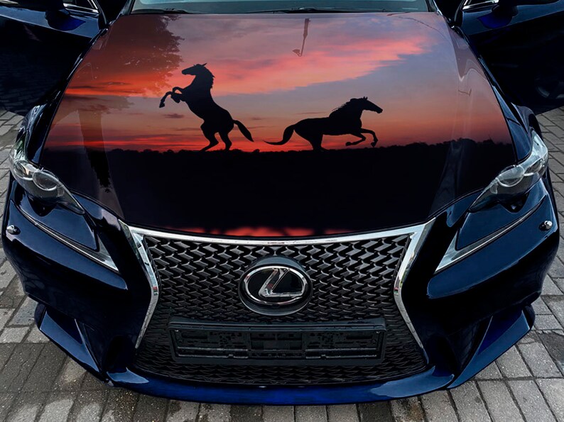Horses Car Hood Wrap Selfadhesive Vinyl Sticker Full Color Etsy