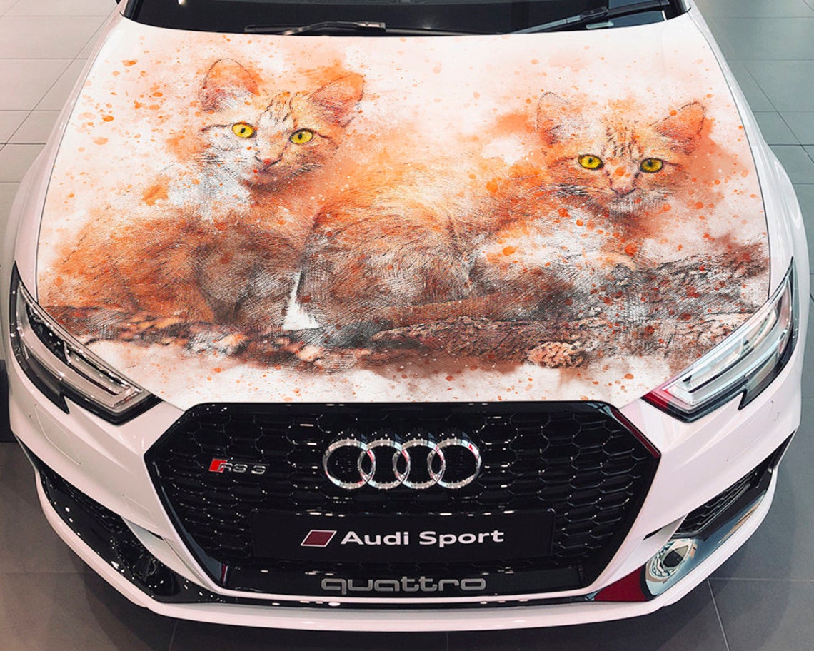 Cats Car Hood Wrap Selfadhesive Vinyl Sticker Full Color Etsy