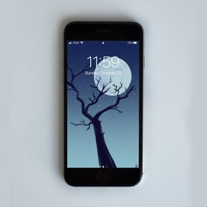 Winter Moon Phone Background