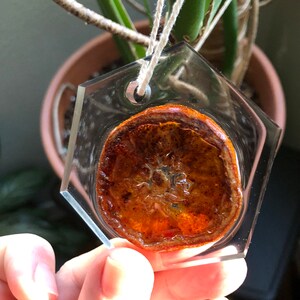 Garden Charms! (Dried-orange)