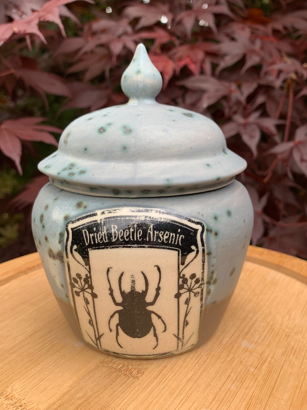 Skull Maggots Apothecary Jar Gothic Home Halloween Etsy