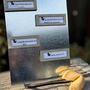 Fortune Cookie Frame Magnets , set of 4