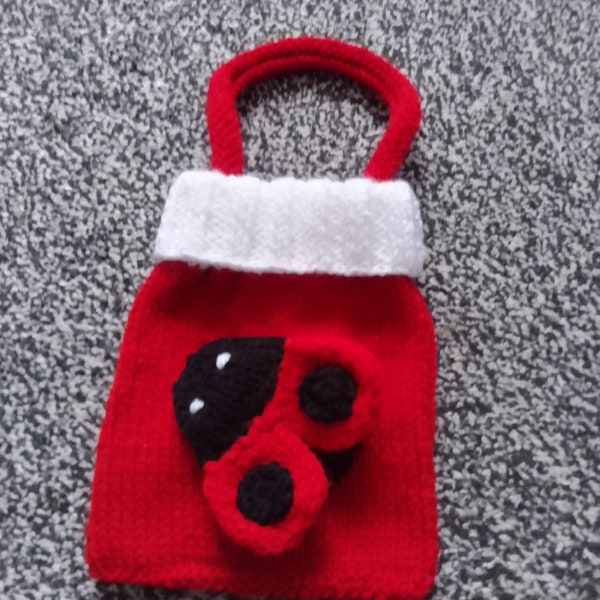 Hand Knitted Ladybird Gift Bag