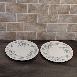 May include: Two white ceramic plates with a scalloped edge. Each plate features a delicate blue floral pattern around the rim. The plates are displayed on a dark gray surface against a brick-patterned background.