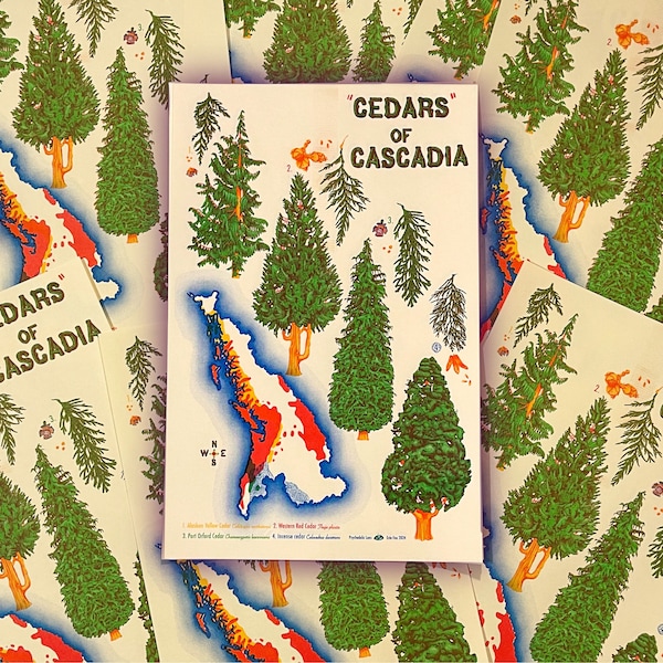 Zedern von Cascadia Riso Print