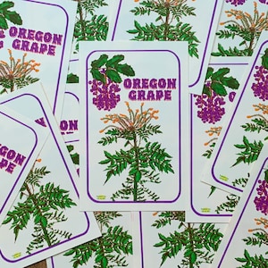 Estampado Riso de Uva de Oregón