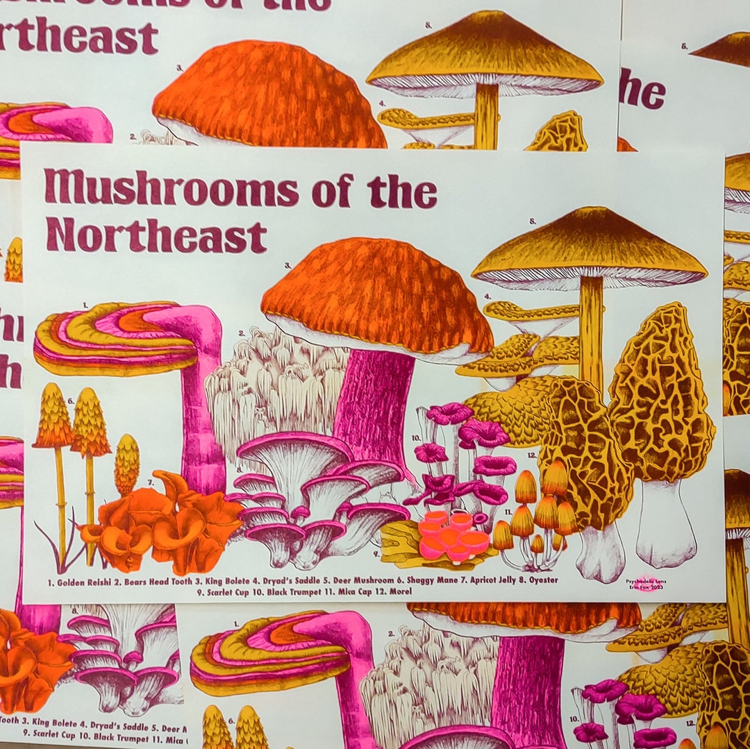 Mushrooms of the Northeast Riso Print Etsy