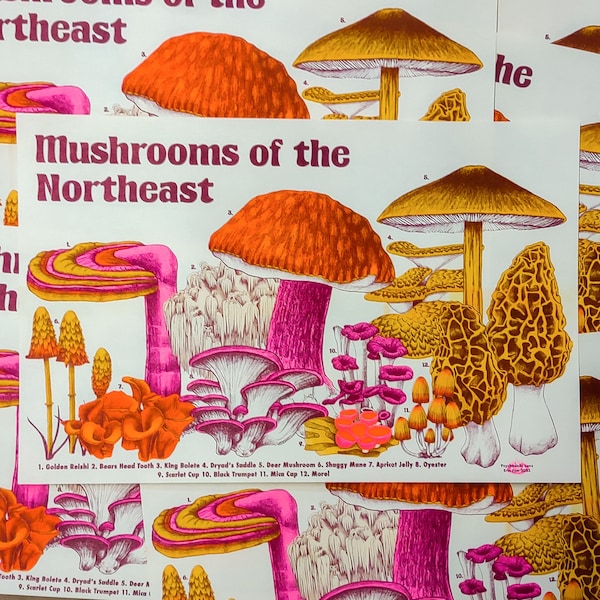 Mushrooms of the Northeast Riso Print