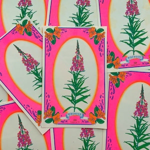Kleines Fireweed Riso Print