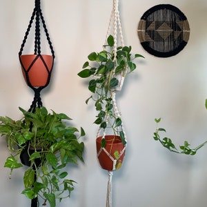 May include: Two macrame plant hangers with terracotta pots and green plants. The macrame hangers are made with white and black cord. The plants are hanging from the ceiling.