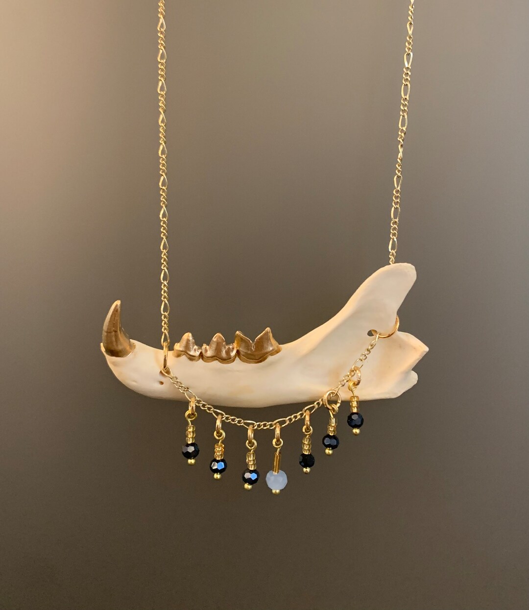 Gold Teeth Bobcat Jaw Necklace Etsy