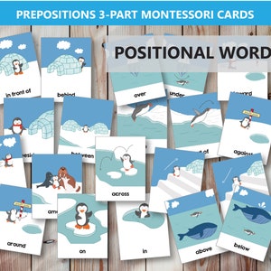 Preposiciones Tarjetas Montessori de 3 Partes, Tarjetas Didácticas de Palabras Posicionales Imprimibles para niños en edad preescolar, Educación en el Hogar, PreK