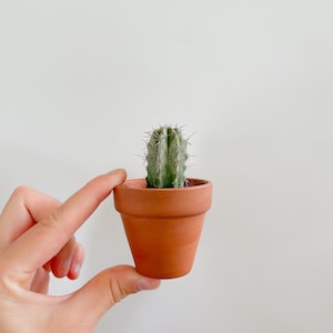 Mini maceta de cerámica