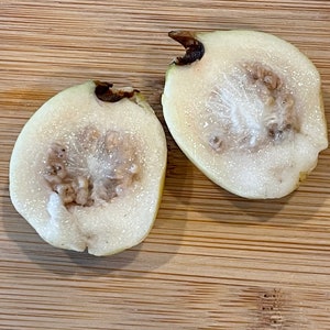 May include: Two halves of a white guava fruit, cut lengthwise, showing the white flesh and brown seeds. The fruit is on a light brown wooden cutting board.