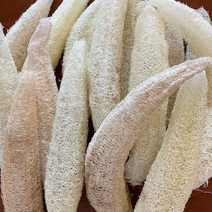 100% Natural Loofah Sponge 16 inch (Bundle of 3) Organic Loofah, Loofah, Luffa Sponges