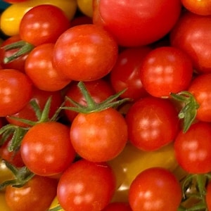 Sweet Millions Tomato Seeds/30 Organic Heirloom Sweet Millions Tomato Seeds/Tomato Seed/Heirloom Tomato Seed/Organic Tomato Seed/Garden Seed