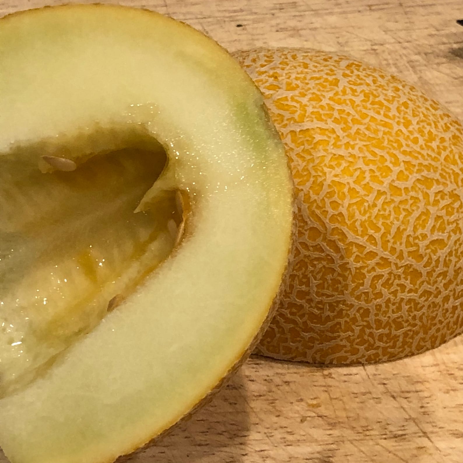 Galia Melon Seed/30 Galia Melon Seeds/heirloom Melon Etsy Denmark