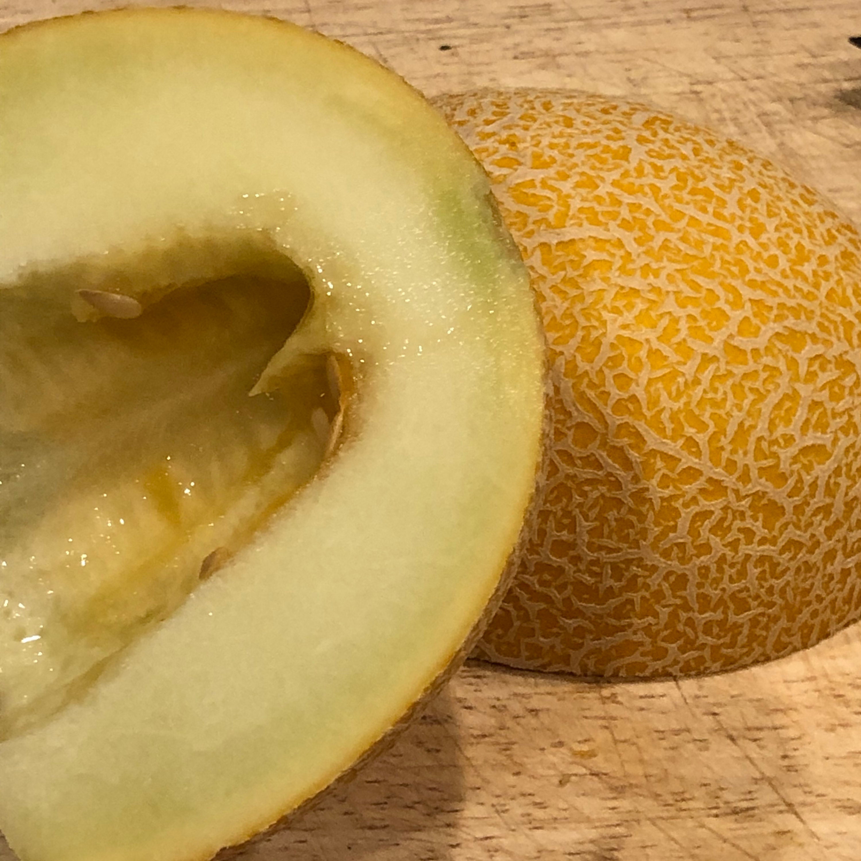 Galia Melon Seed/30 Galia Melon Seeds/heirloom Melon Etsy Denmark