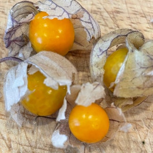 Cape Gooseberry/Peruvian Ground Cherry/Golden Berry/Heirloom Seed/Garden Seed/Gooseberry Seed/Poha/Rare Garden Seed/Rare Seed