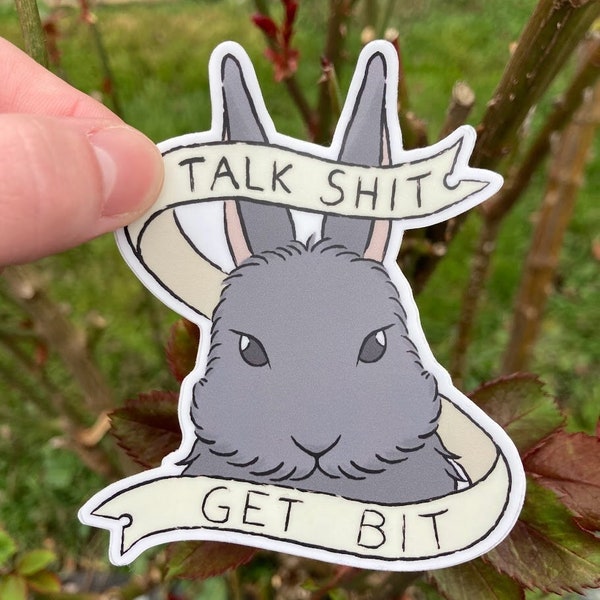 Talk Shit Get Bit / Rabbit Sass / Netherland Dwarf Black / Swearing Bunny Sticker / Angry Rabbit / Silly Sticker for Pet Parents