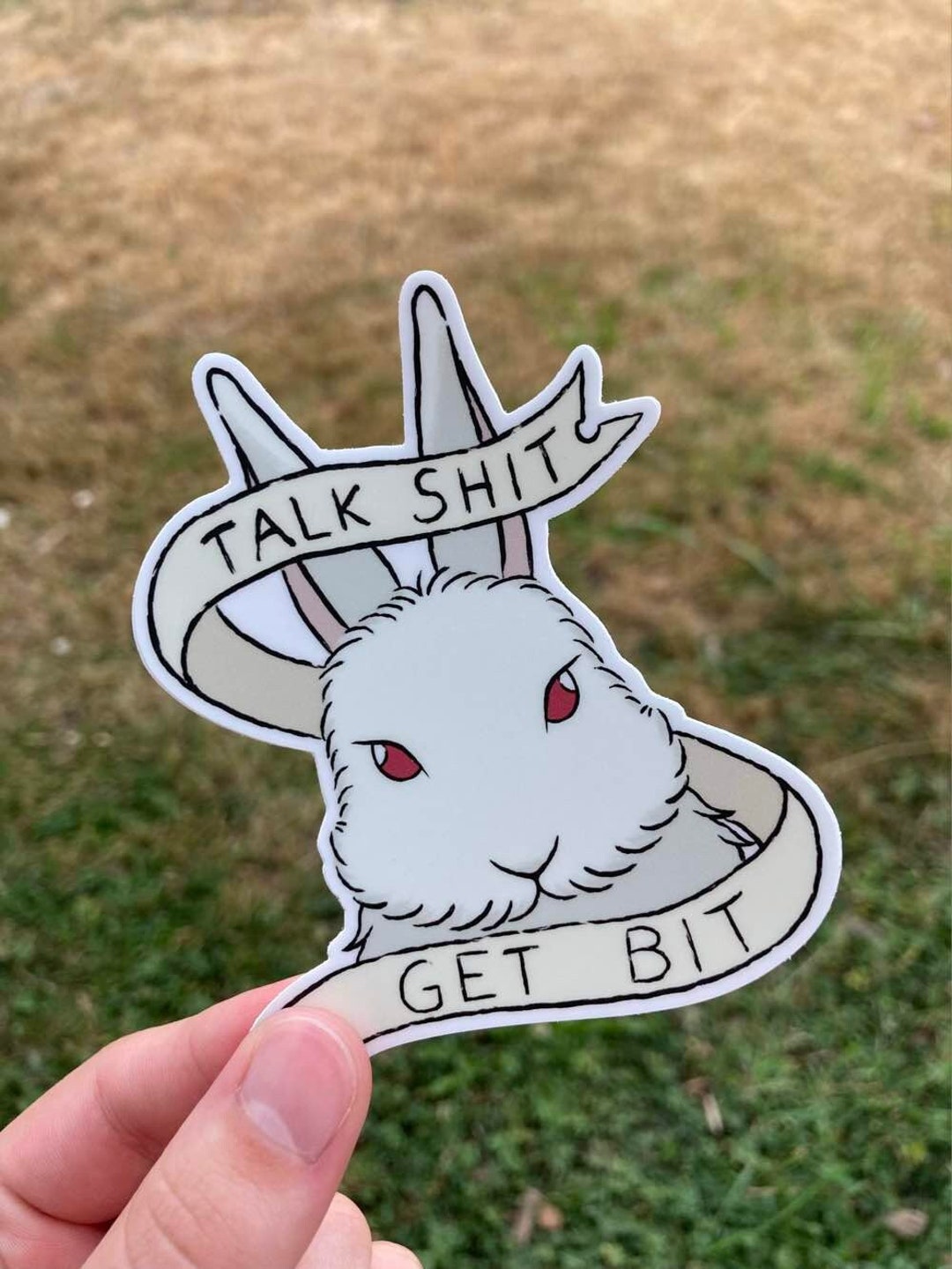 Buy Talk Shit Get Bit / Rabbit Sass / Netherland Dwarf White With Red ...